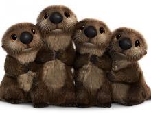 Ontmoet de nieuwe karakters uit Pixar’s Finding Dory!