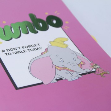 Disney notebooks cerda 14