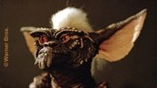 Gremlins magneten